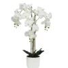 ORCHIDEE TOUCHER NATUREL 26 FLEURS POT PLASTIQUE H.100CM
