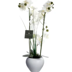 ORCHIDEE VASE CERAMIQUE BLANC H.53CM