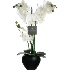 ORCHIDEE VASE CERAMIQUE NOIR H.53CM