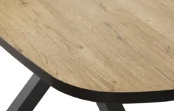 OTTO TABLE OVALE 230X119X76CM PIEDS ARAIGNEE