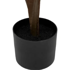 PALMIER BAMBOU OLME H.120CM