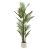 PALMIER POT BLANC MERLO H.180CM
