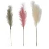 PAMPA 80CM BLANC GRIS ROSE