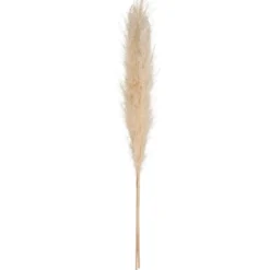 PAMPA NATUREL X3 PIECES H.110CM