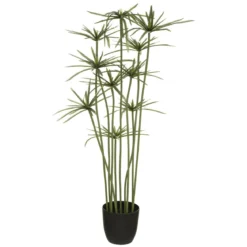 PAPYRUS H.120CM