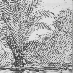 PARAVENT IMPRIME CUBA