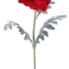 PAVOT ROUGE H.115CM