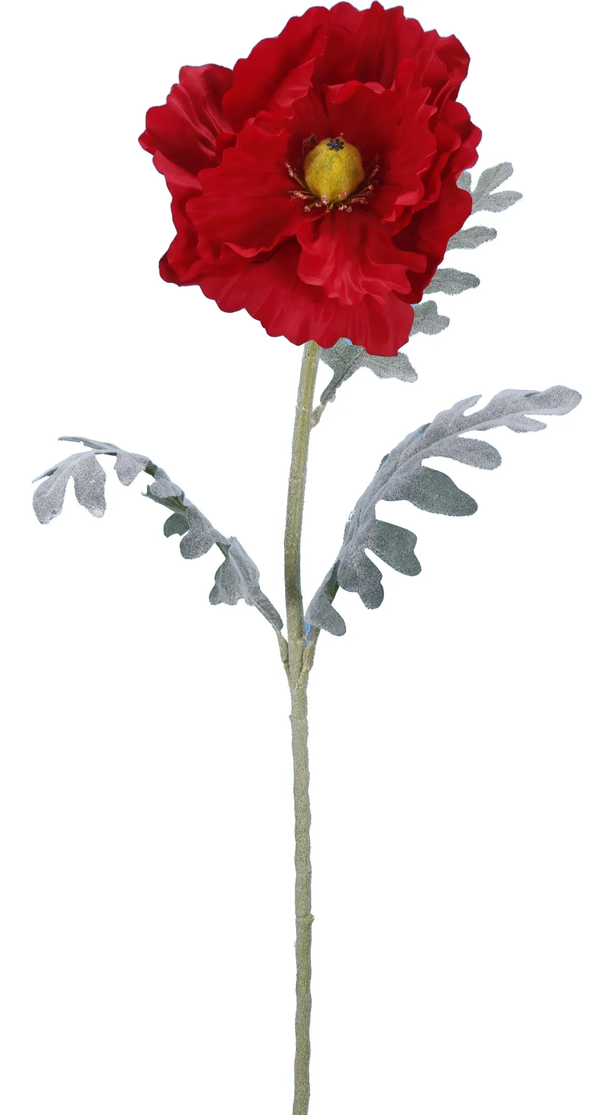 PAVOT ROUGE H.115CM