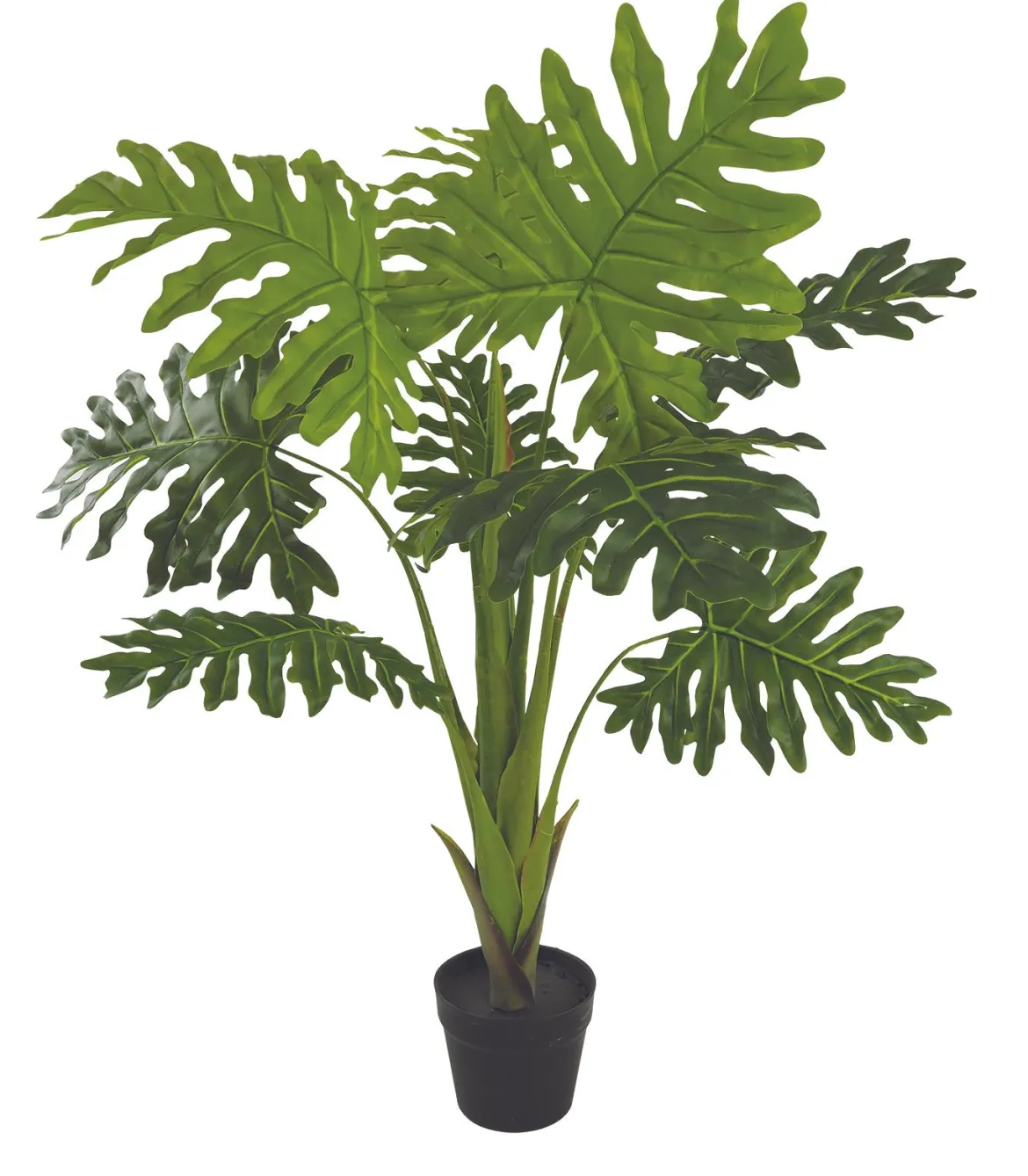 PHILODENDRON 9 FEUILLES POT H.110CM