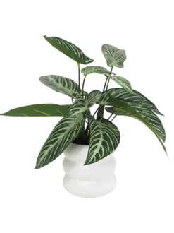 PHILO H60CM ET TARO H50CM EN POT CERAMIQUE DECO BLANC