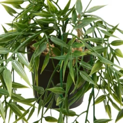 PLANTE A SUSPENDRE BAMBOU LIORA H.67CM