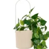 PLANTE A SUSPENDRE POT CERAMIQUE POOL H.82CM