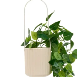 PLANTE A SUSPENDRE POT CERAMIQUE POOL H.82CM