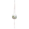 PLANTE A SUSPENDRE VERRE NOMADE D.10CM