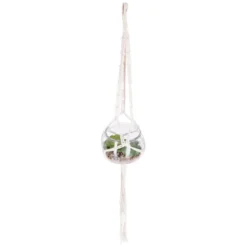 PLANTE A SUSPENDRE VERRE NOMADE D.10CM