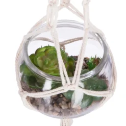 PLANTE A SUSPENDRE VERRE NOMADE D.10CM