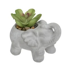 PLANTE CIMENT ELEPHANT H.10CM