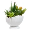 PLANTE COQUILLAGE OCEA H.20CM