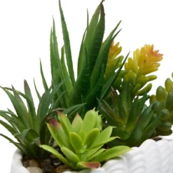PLANTE COQUILLAGE OCEA H.20CM