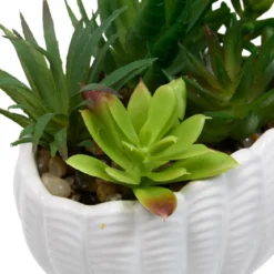 PLANTE COQUILLAGE OCEA H.20CM