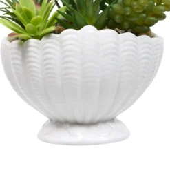 PLANTE COQUILLAGE OCEA H.20CM