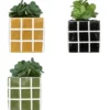 PLANTE FAMILY CORNER POT CERAMIQUE H.17CM