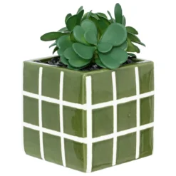 PLANTE FAMILY CORNER POT CERAMIQUE H.17CM