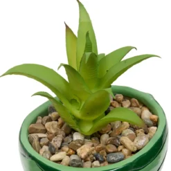PLANTE FRUITY H.11CM