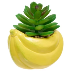 PLANTE FRUITY H.11CM