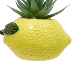 PLANTE FRUITY H.11CM