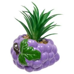 PLANTE FRUITY H.11CM