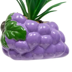 PLANTE FRUITY H.11CM