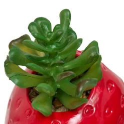 PLANTE FRUITY H.11CM