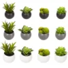 PLANTE GRASSE AIMANT D.6CM