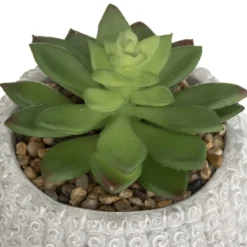 PLANTE GRASSE BOUDDHA CIMENT VIA H.13CM