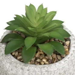 PLANTE GRASSE BOUDDHA CIMENT VIA H.13CM