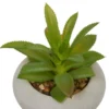 PLANTE GRASSE CIMENT STEFI H.15CM