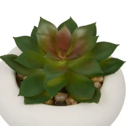 PLANTE GRASSE CIMENT STEFI H.15CM