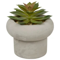 PLANTE GRASSE CIMENT STEFI H.15CM