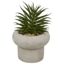 PLANTE GRASSE CIMENT STEFI H.15CM