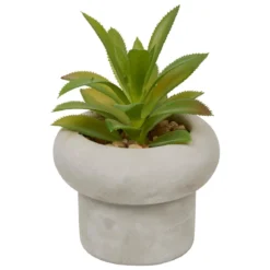 PLANTE GRASSE CIMENT STEFI H.15CM