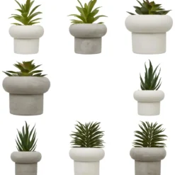 PLANTE GRASSE CIMENT STEFI H.15CM