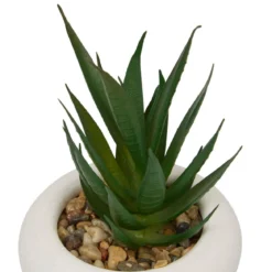 PLANTE GRASSE CIMENT STEFI H.15CM