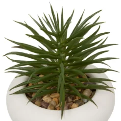 PLANTE GRASSE CIMENT STEFI H.15CM