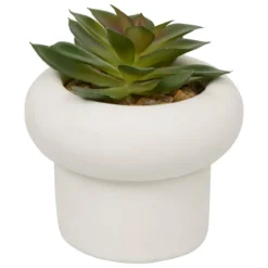 PLANTE GRASSE CIMENT STEFI H.15CM