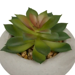 PLANTE GRASSE CIMENT STEFI H.15CM