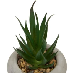 PLANTE GRASSE CIMENT STEFI H.15CM