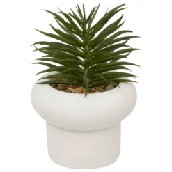 PLANTE GRASSE CIMENT STEFI H.15CM