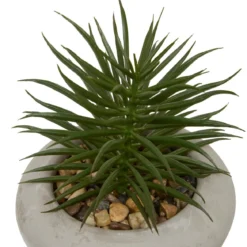 PLANTE GRASSE CIMENT STEFI H.15CM