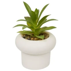 PLANTE GRASSE CIMENT STEFI H.15CM